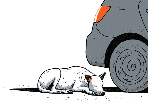 A street dog asleep under the bumper of a parked car, one ear half-cocked.
